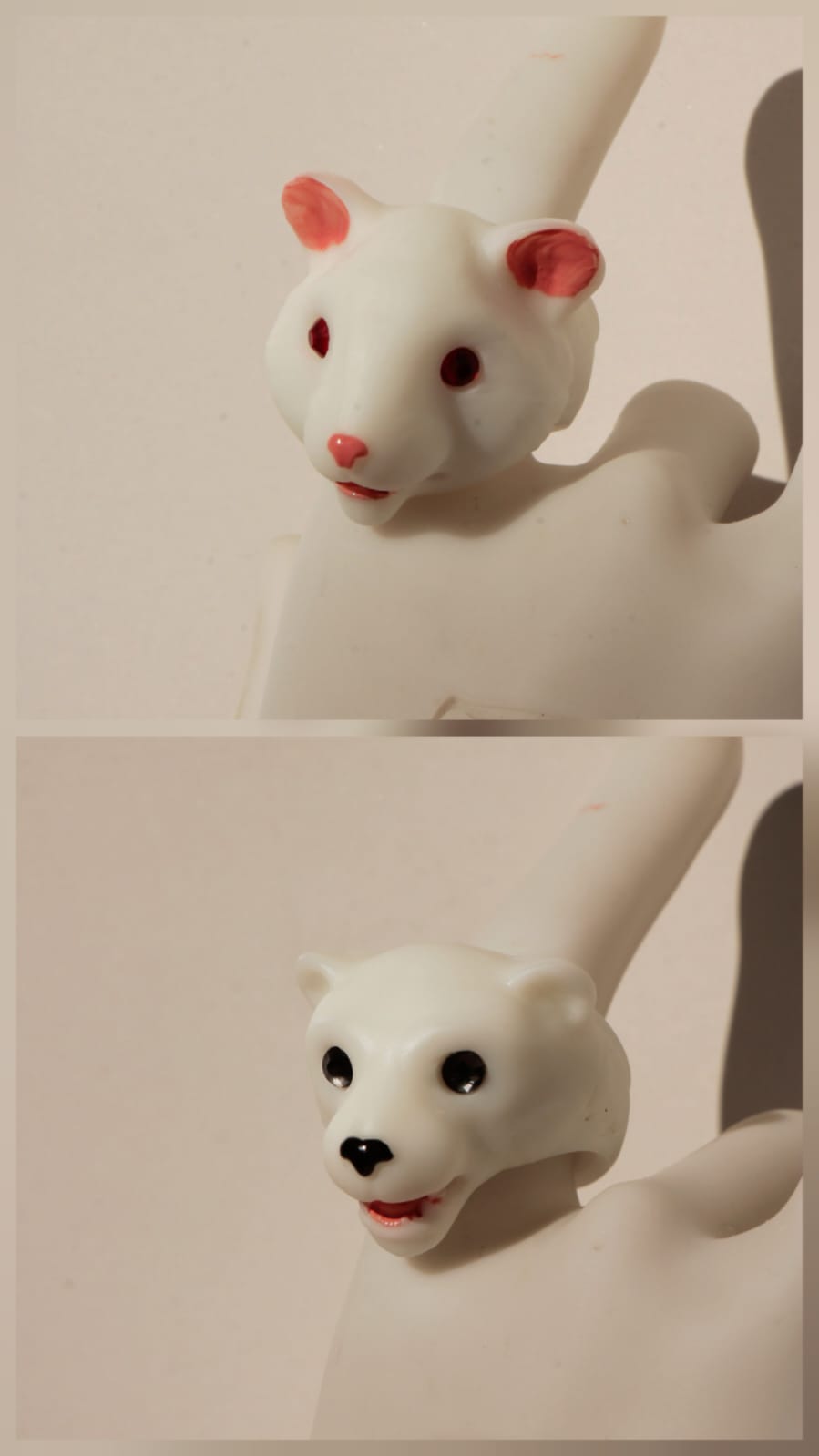 Anillos blancos hamster / oso polar
