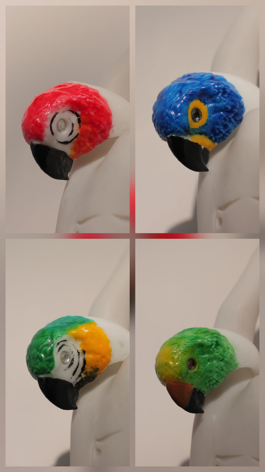 Anillos Guacamaya edición limitada