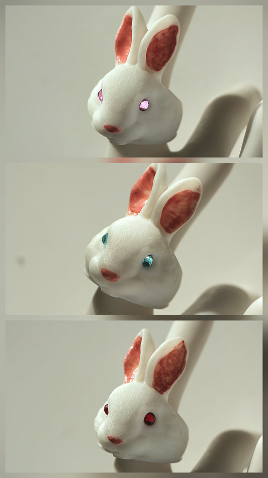 Anillos Conejo blanco